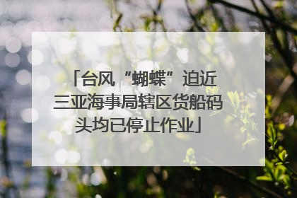 台风“蝴蝶”迫近 三亚海事局辖区货船码头均已停止作业